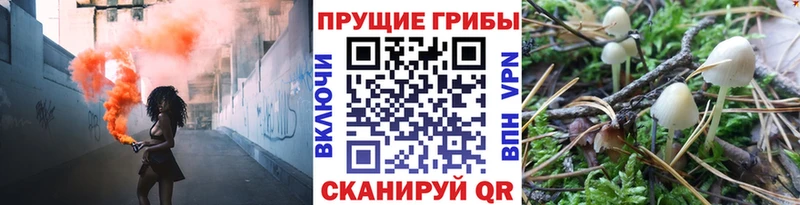 Псилоцибиновые грибы прущие грибы blacksprut Элиста